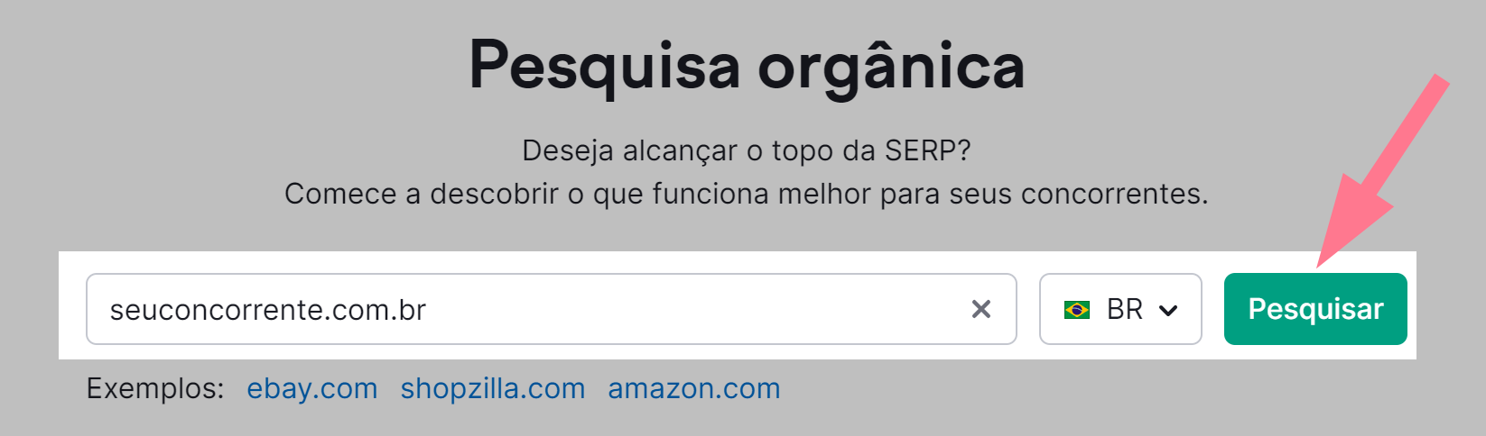 tela inicial da ferramenta pesquisa orgânica para pesquisa de palavras-chave