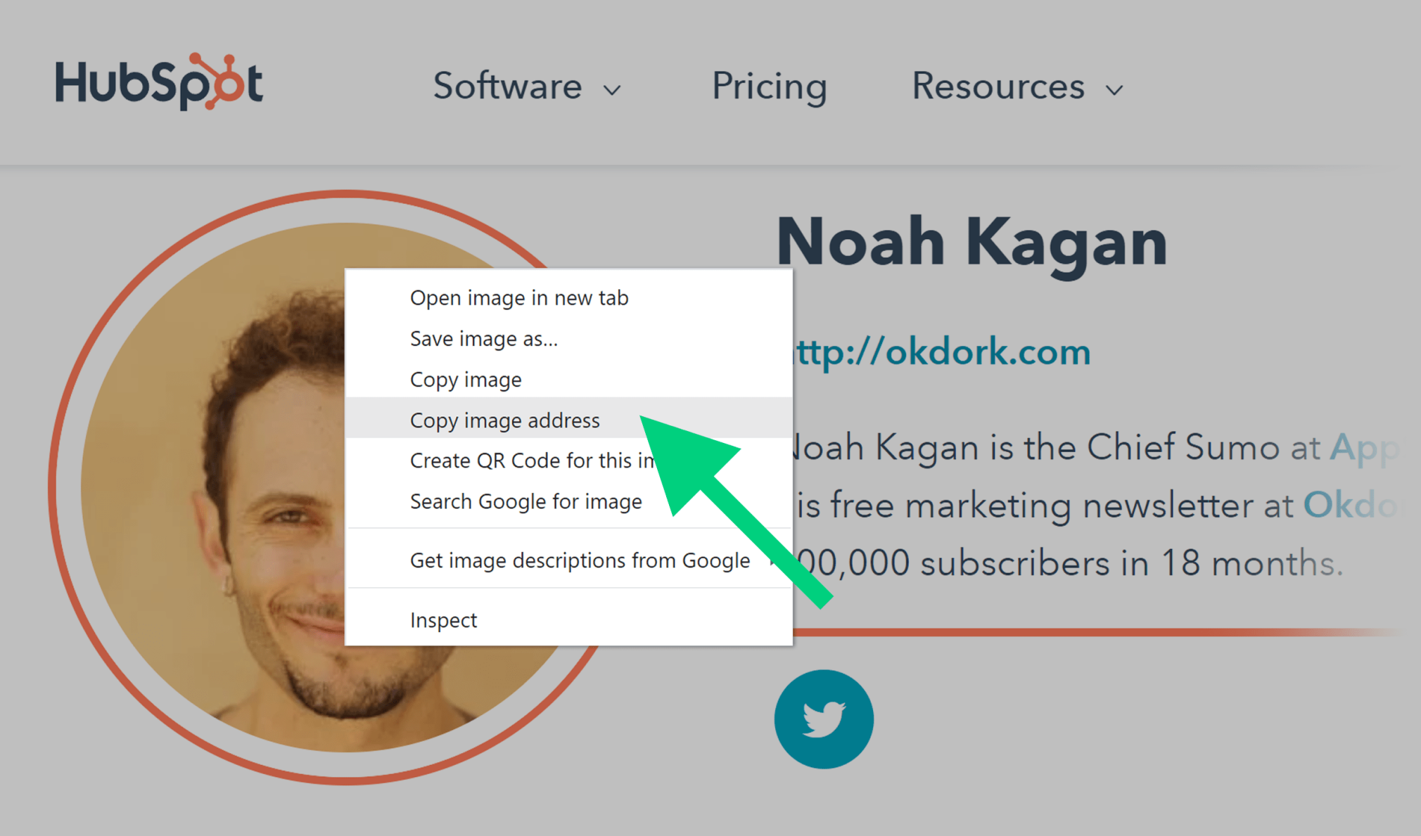 Copier l'adresse de la photo