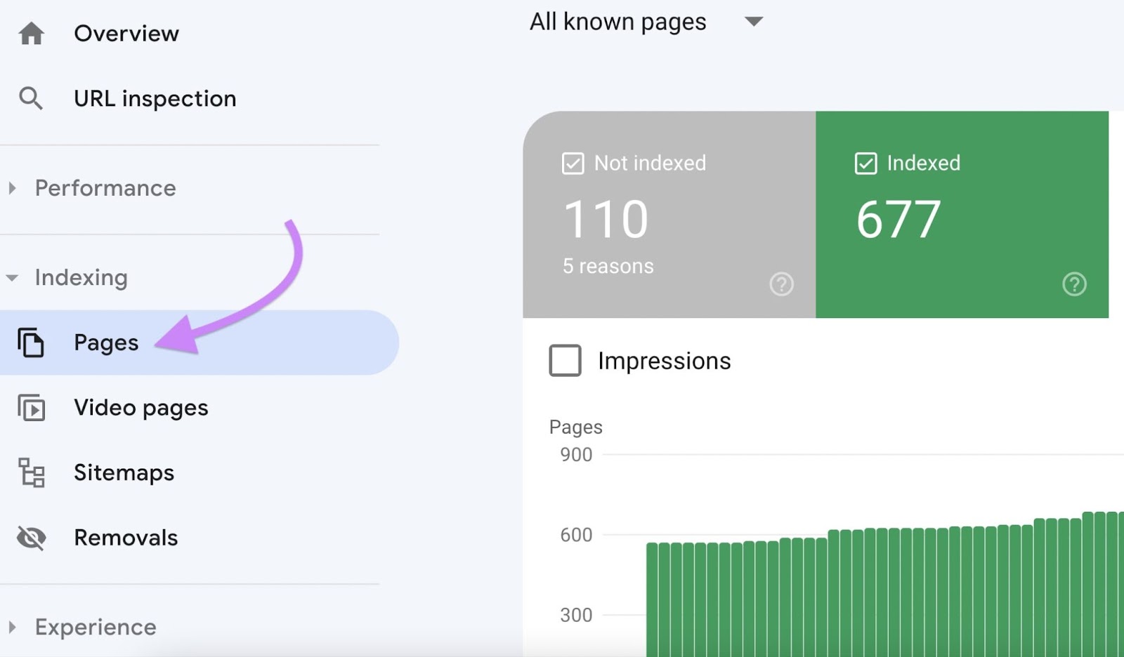 Die im Menü der Google Search Console ausgewählten „Seiten“