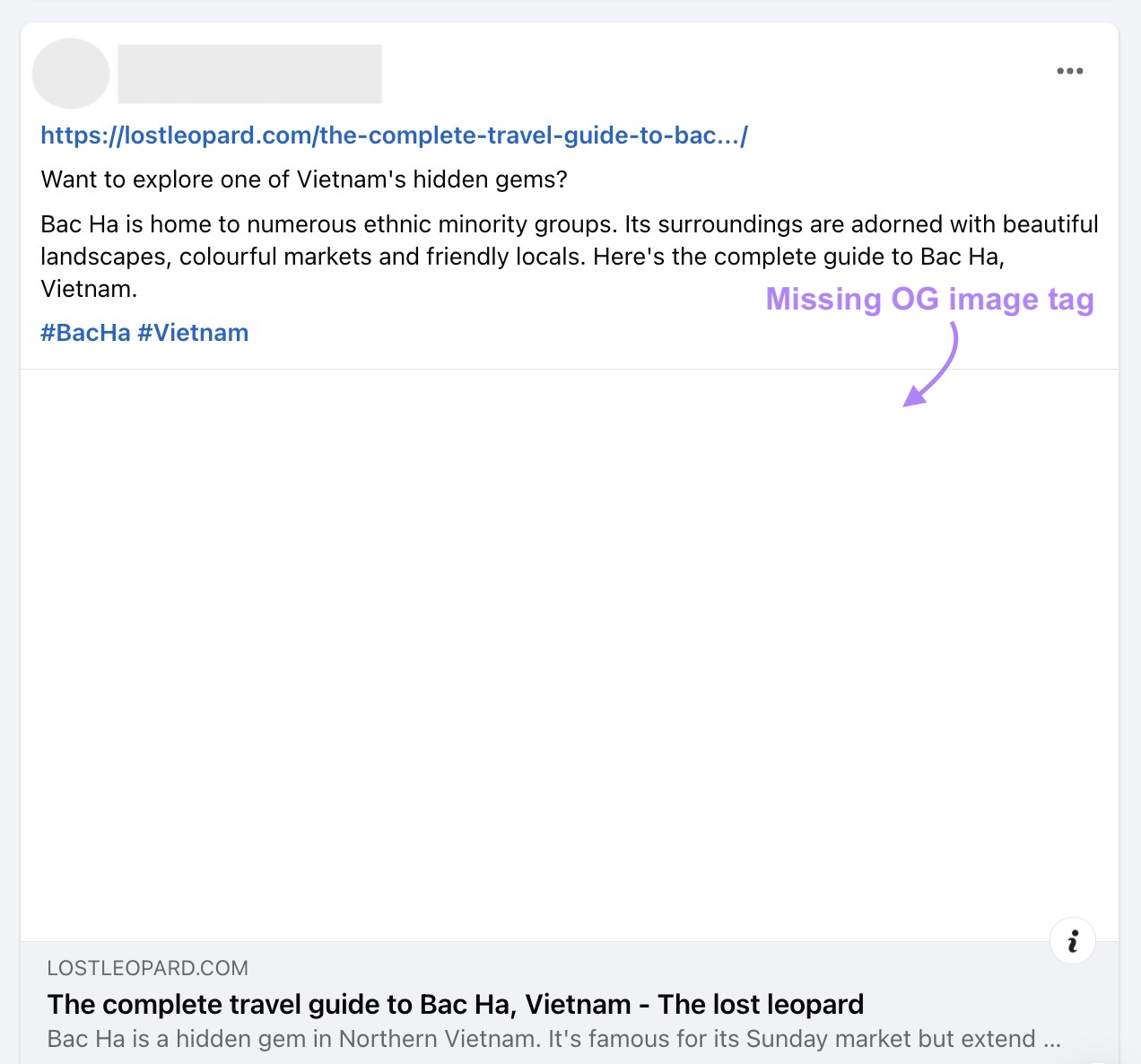 Blog post shared on Facebook without an open graph image tag.